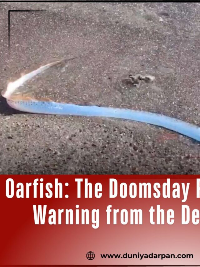 Oarfish: The Doomsday Fish