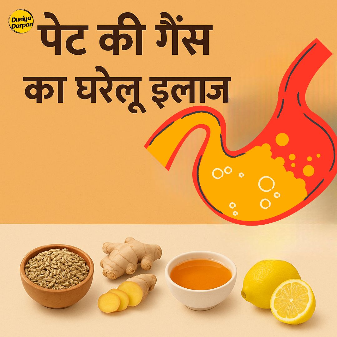 Pet Mein Gas Kyon Hoti Hai Aur Gharelu Upay Se Kaise Paayein Chhutkaara