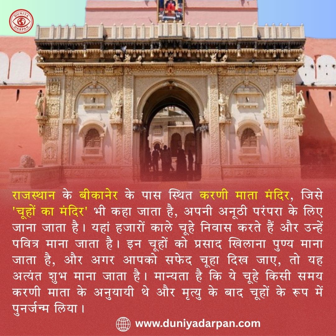 करणी माता मंदिर: राजस्थान का रहस्यमयी चूहों वाला मंदिर