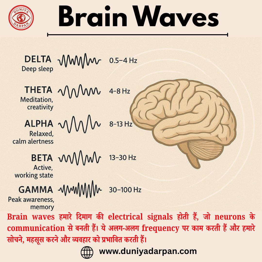 Brain Waves का विज्ञान- जानिए कौन-सी वेव आपकी जिंदगी को कैसे प्रभावित करती है